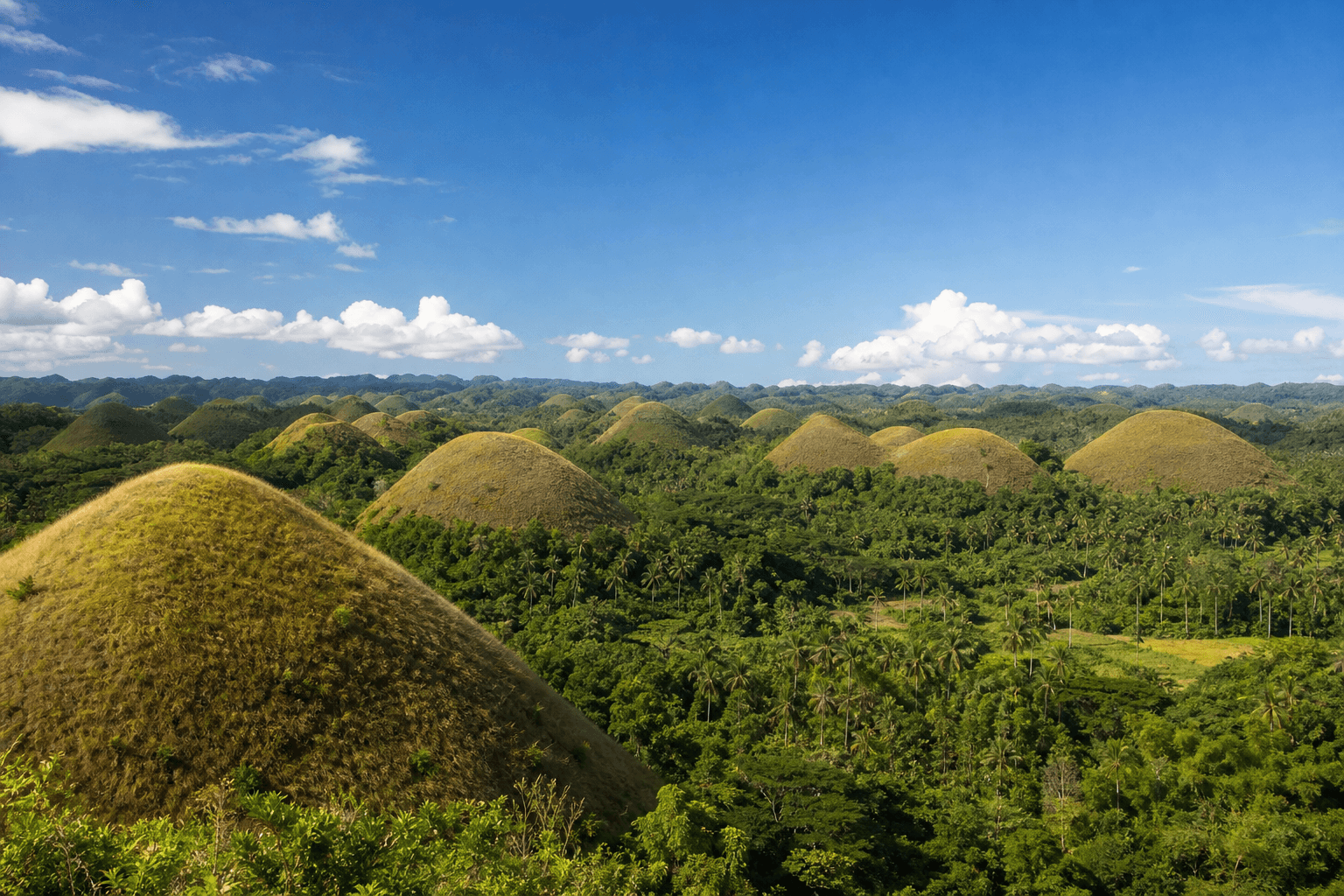 Chocolate Hills in Bohol, Philippines